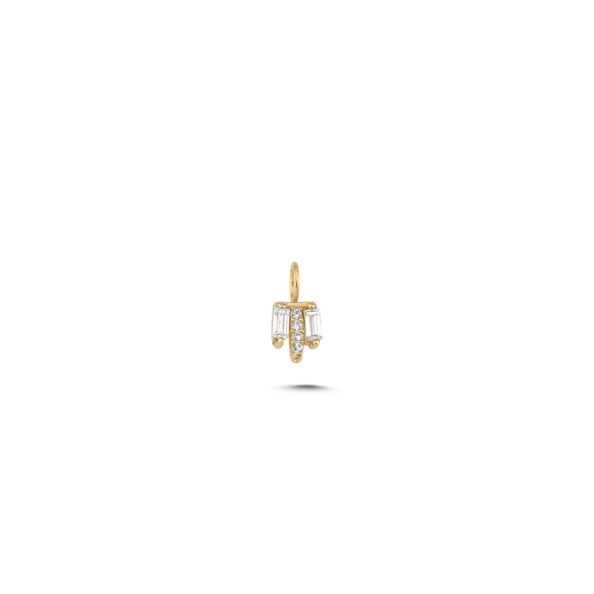 charm-achrm0538-b1d-9f.jpg