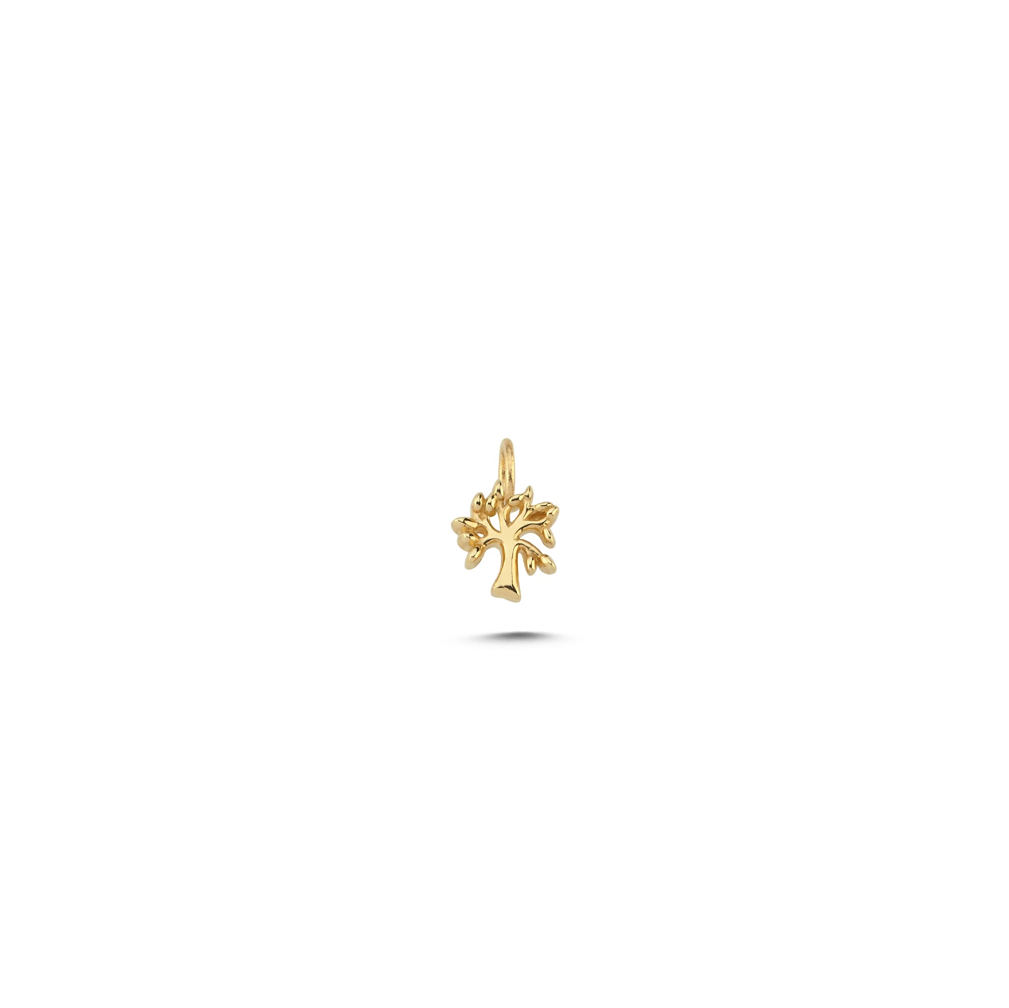 charm-achrm0792-04f993.jpg