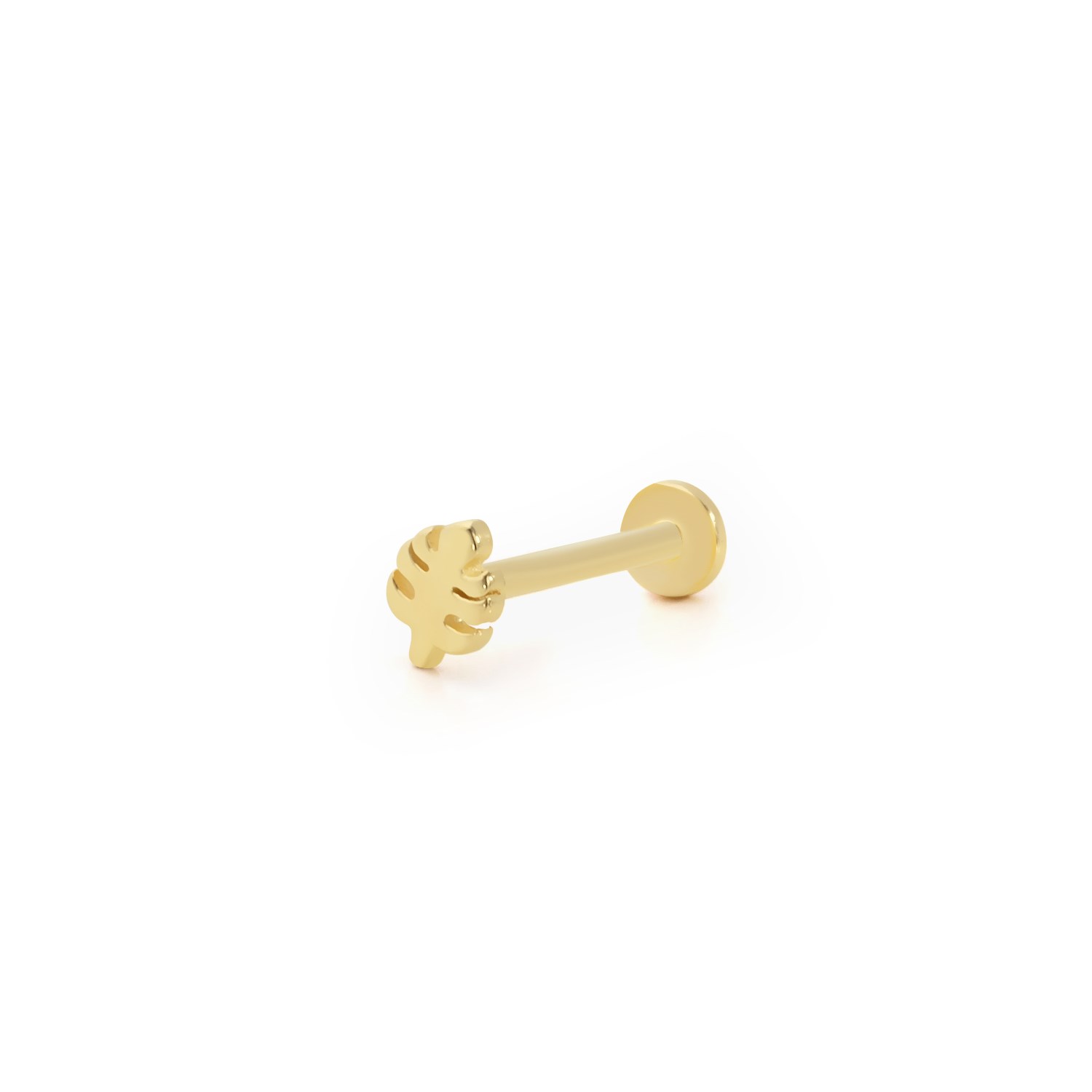 piercing-prc0356-a69e86.jpg