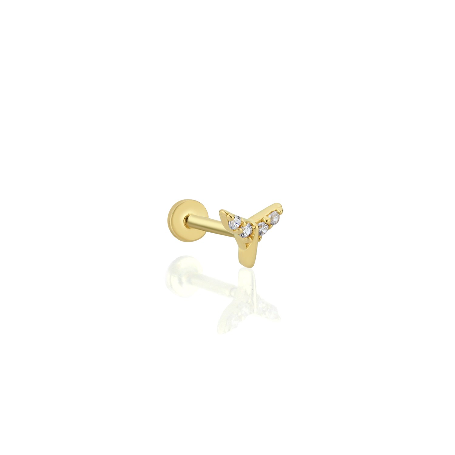 piercing-prc0495-f8564f.jpg