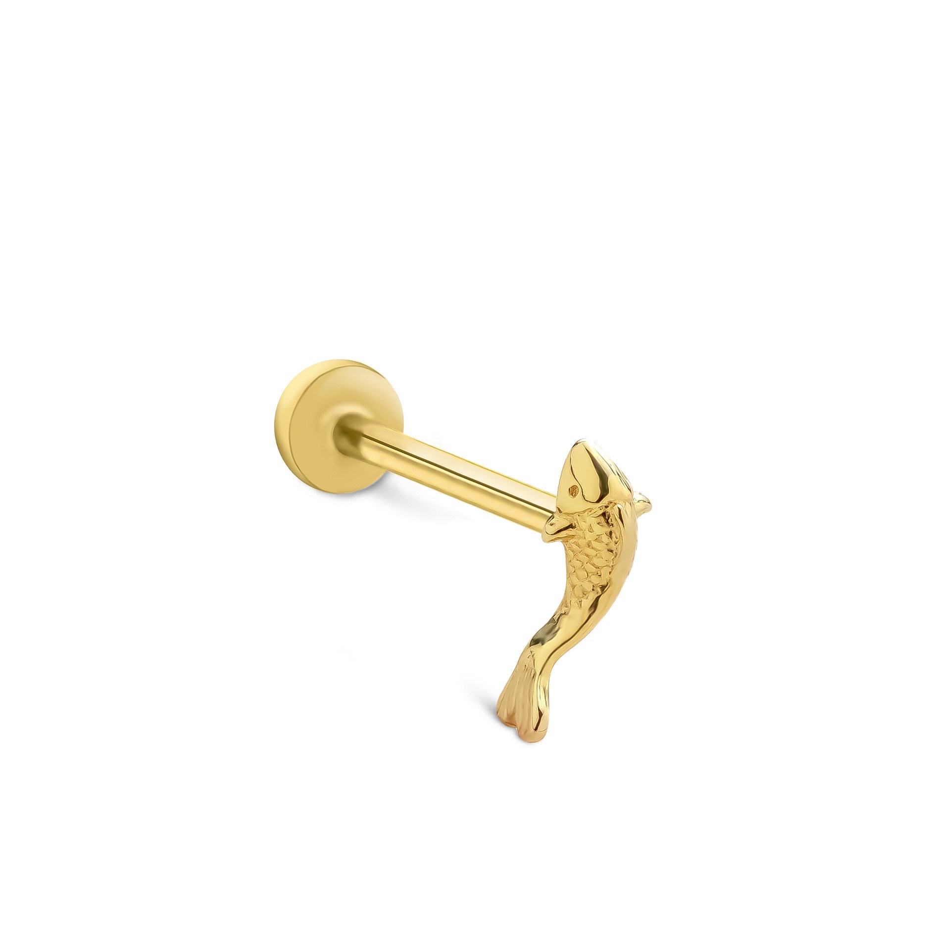 piercing-prc0570b-c6-55d.jpg