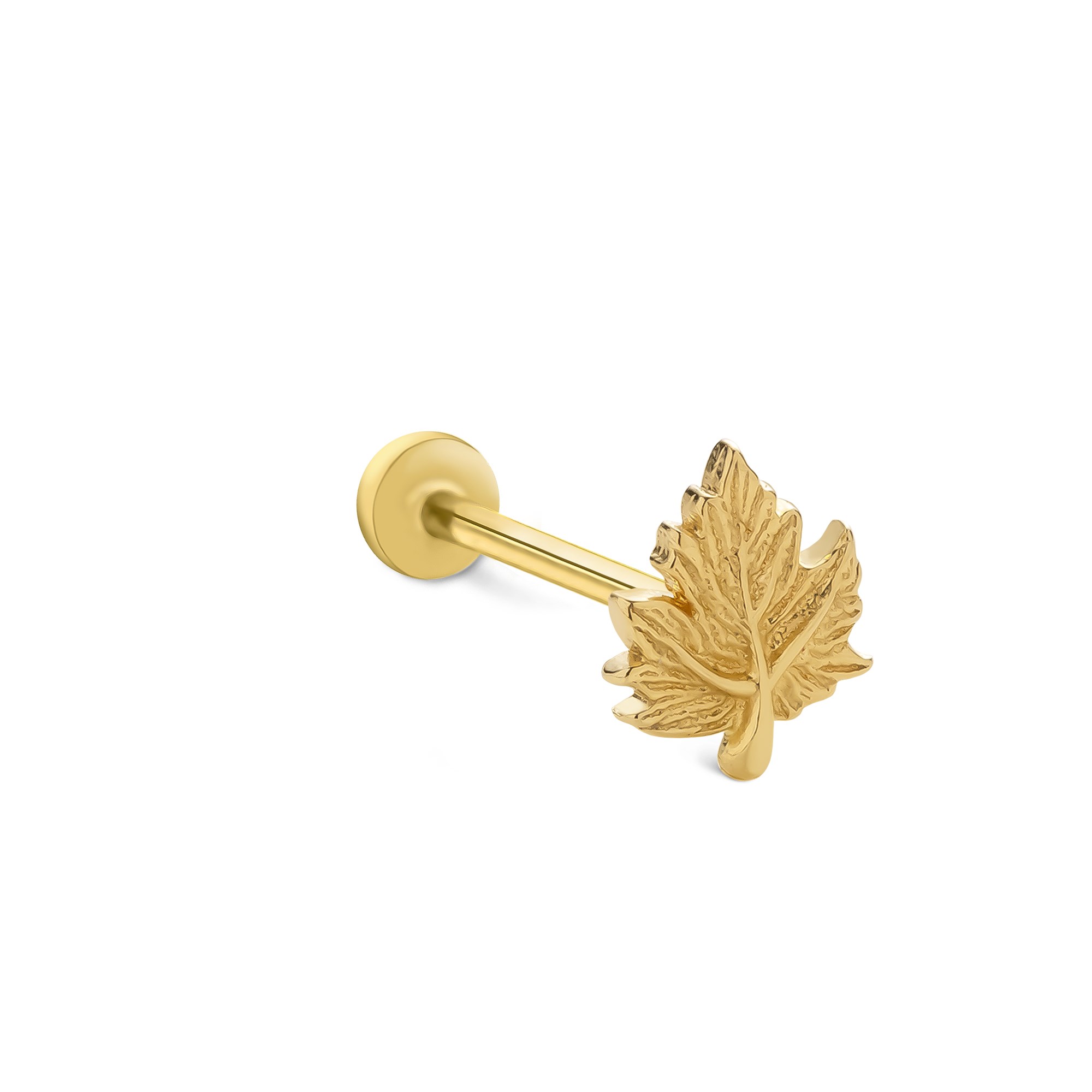 piercing-prc0572-954183.jpg
