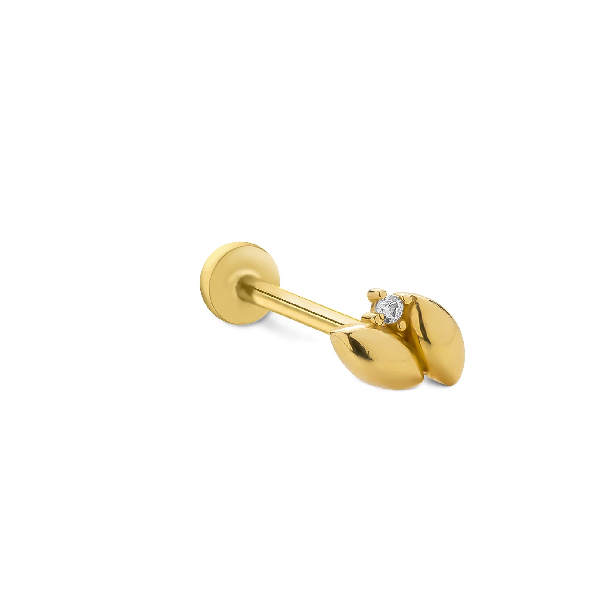 piercing-prc0637-99698e.jpg