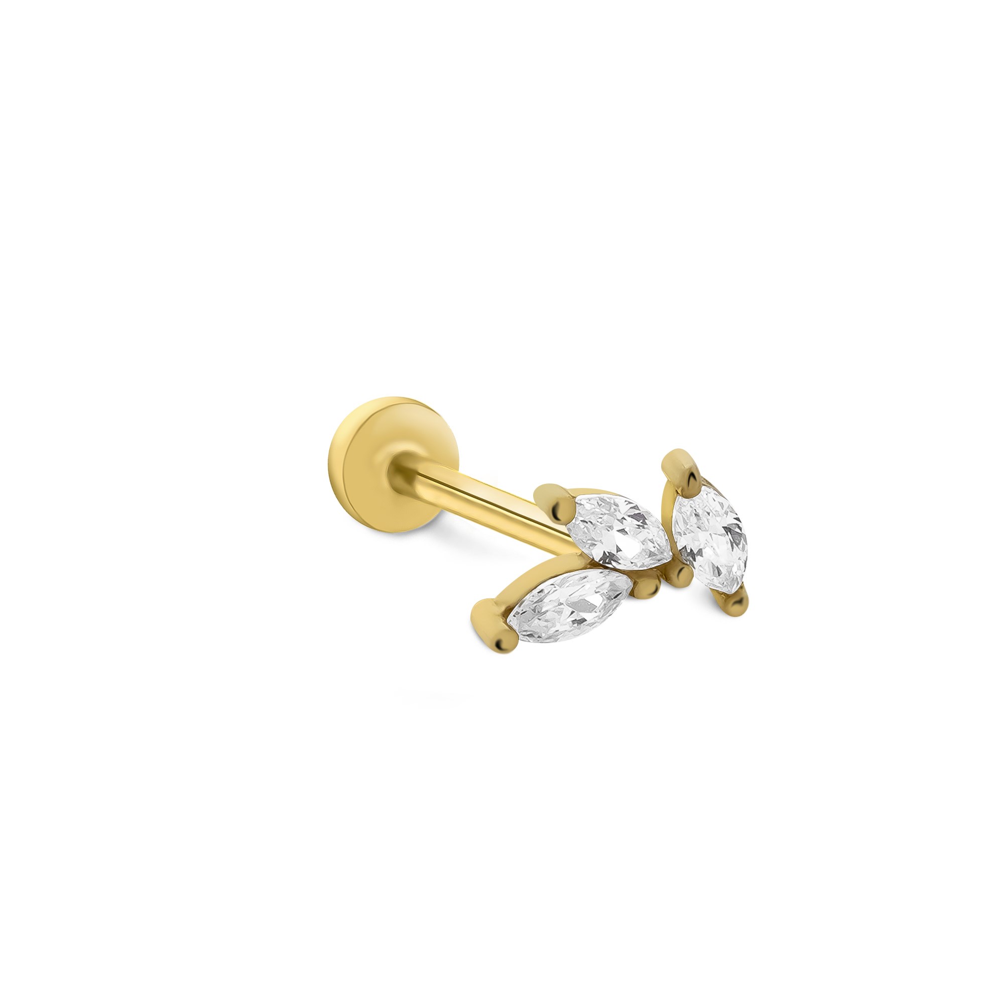 piercing-prc0709-2fb1bf.jpg