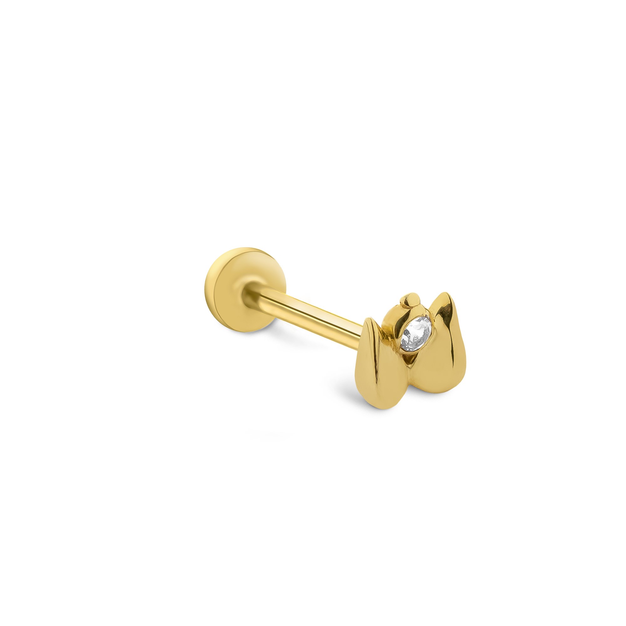 piercing-prc0720-e49f55.jpg