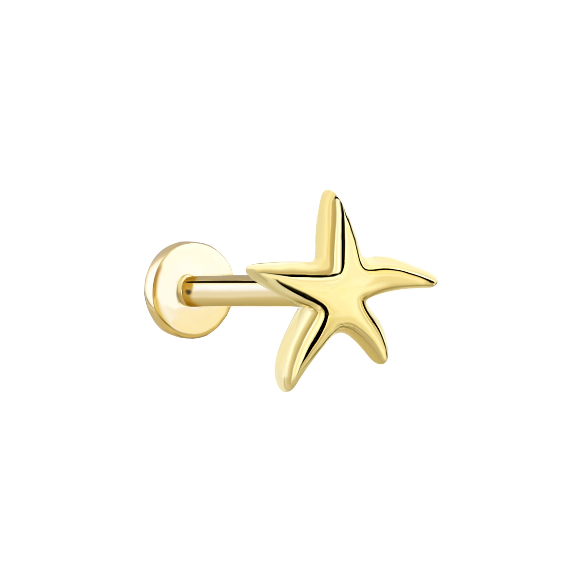 piercing-prc0816-3128d6.jpg