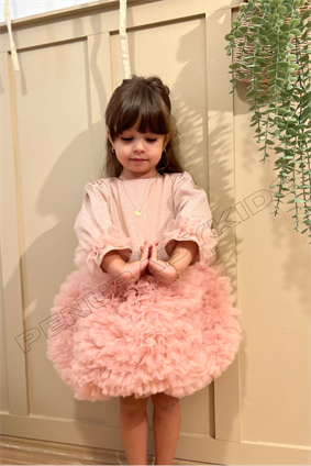 Gül Kurusu Tütülü Uzun Kol Kız Bebek Elbise - Princess