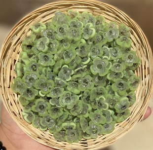 Yeşil Pıtırcık Cam Boncuk