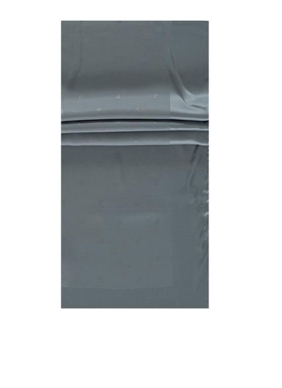 Pierre Cardin İpek Etol Şal 8862246-324
