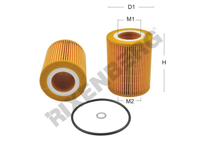 Rixenberg - FILTRE YAG BMW E39 520I- 523I- 525I- 528I- 530I (1996- 2003)
