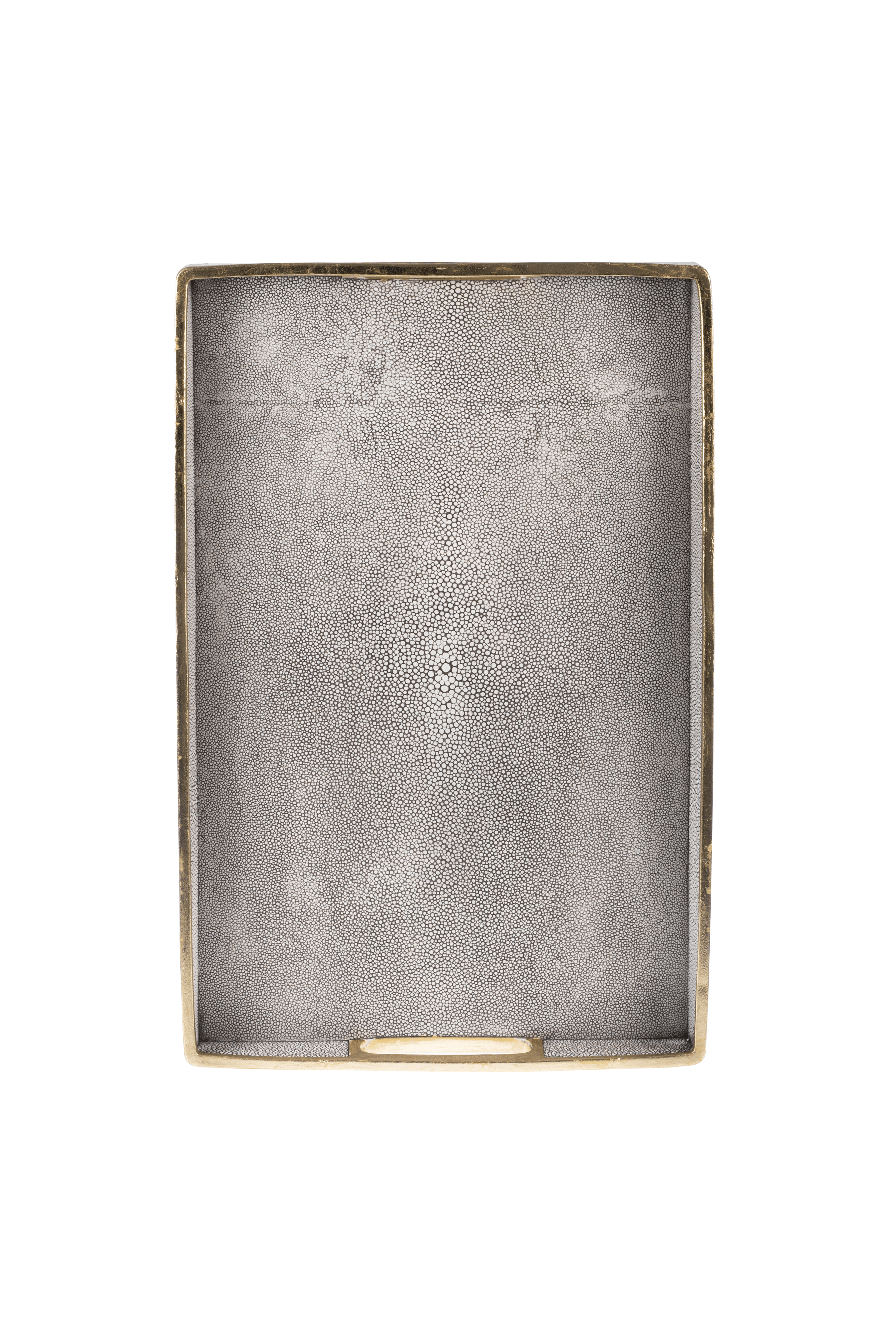 Tepsi İnci Balığı