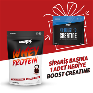 WUP Whey Protein, B1-B6-B12-C, Arjinin, Glutamin, Doğal Kakao, Çikolata, 576 gr 16 Servis