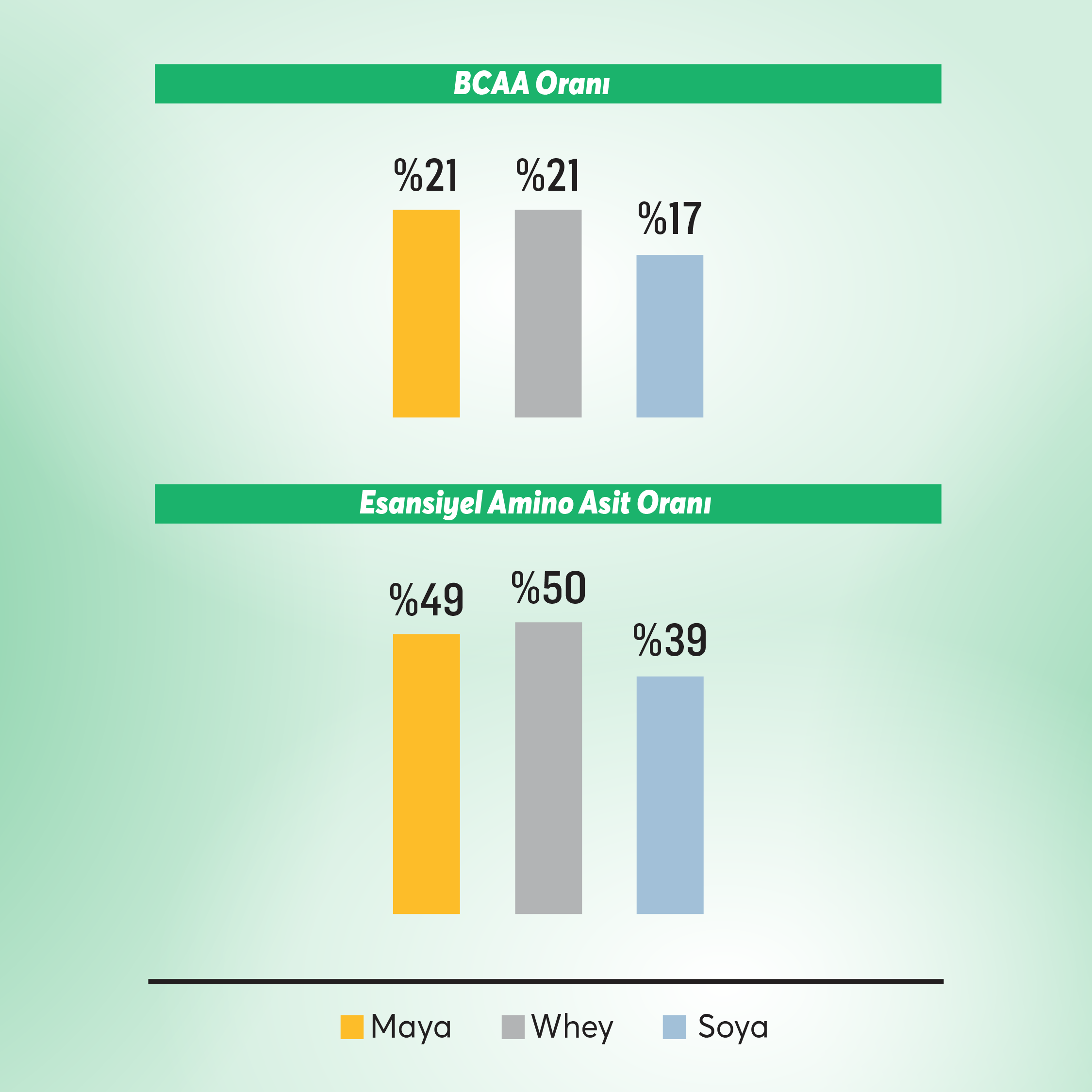WUP Plant Protein, B1-B6-B12, Çinko, Yüksek Lif, Doğal Kakao, Bitkisel Protein, 600 gr 20 Servis