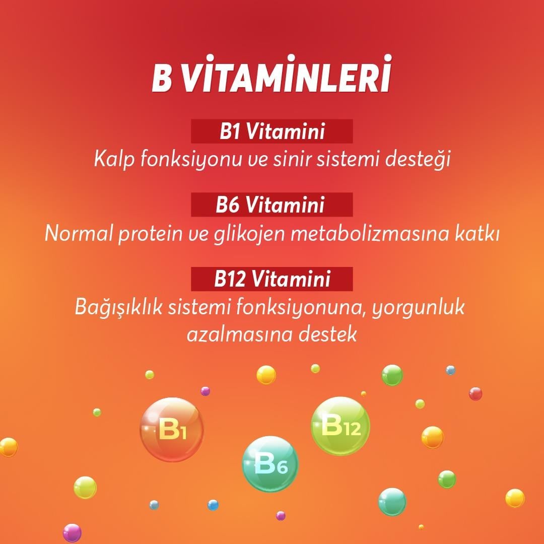 WUP Whey Protein, B1-B6-B12-C, Arjinin, Glutamin, Doğal Kakao, Çikolata, 576 gr 16 Servis