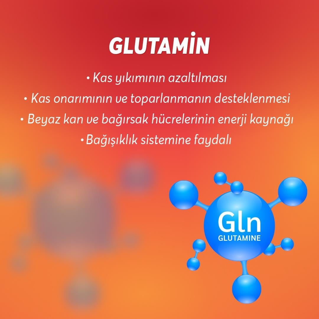 WUP Whey Protein, B1-B6-B12-C, Arjinin, Glutamin, Doğal Kakao, Çikolata, 576 gr 16 Servis