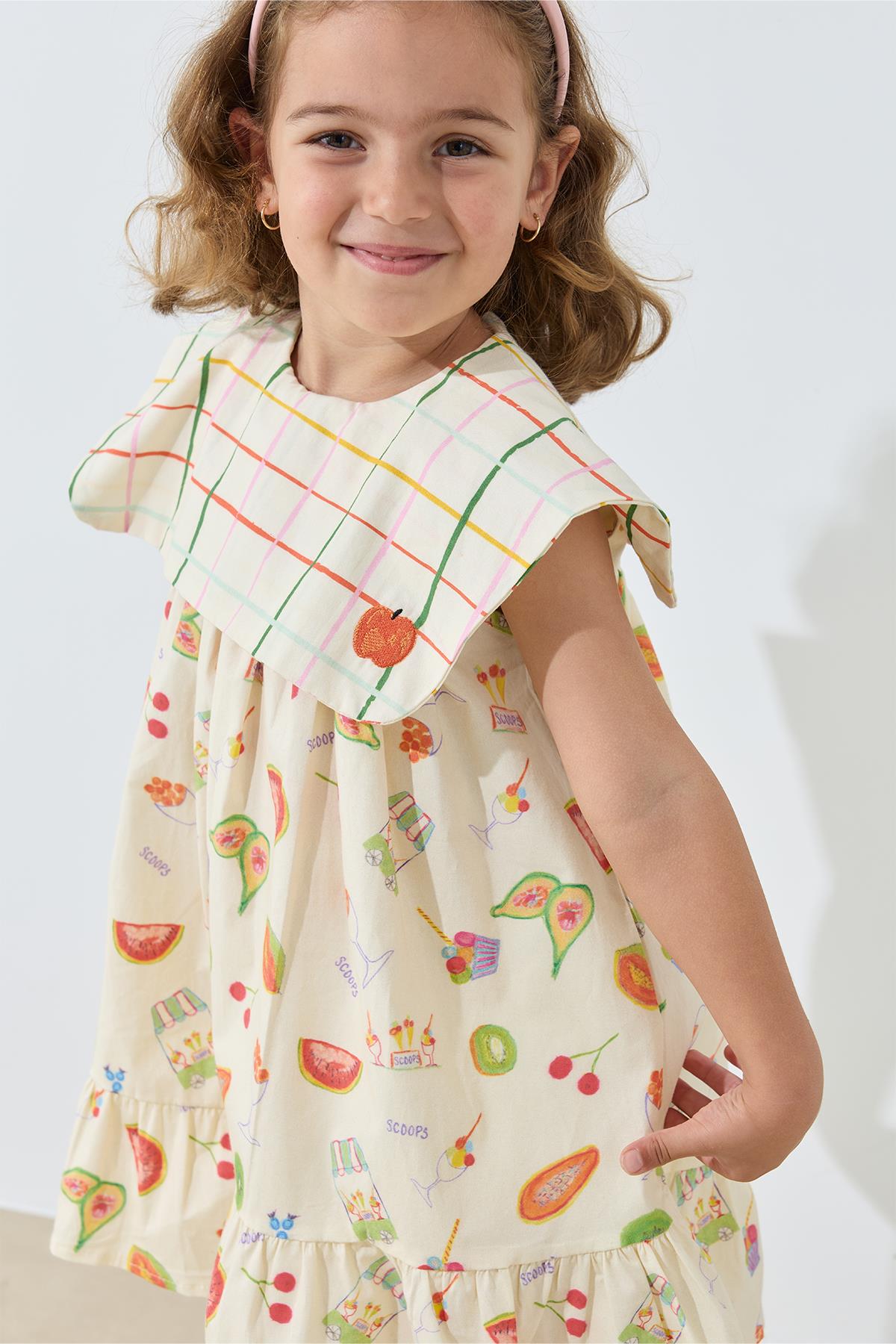 Picnic Baskılı Poplin Elbise