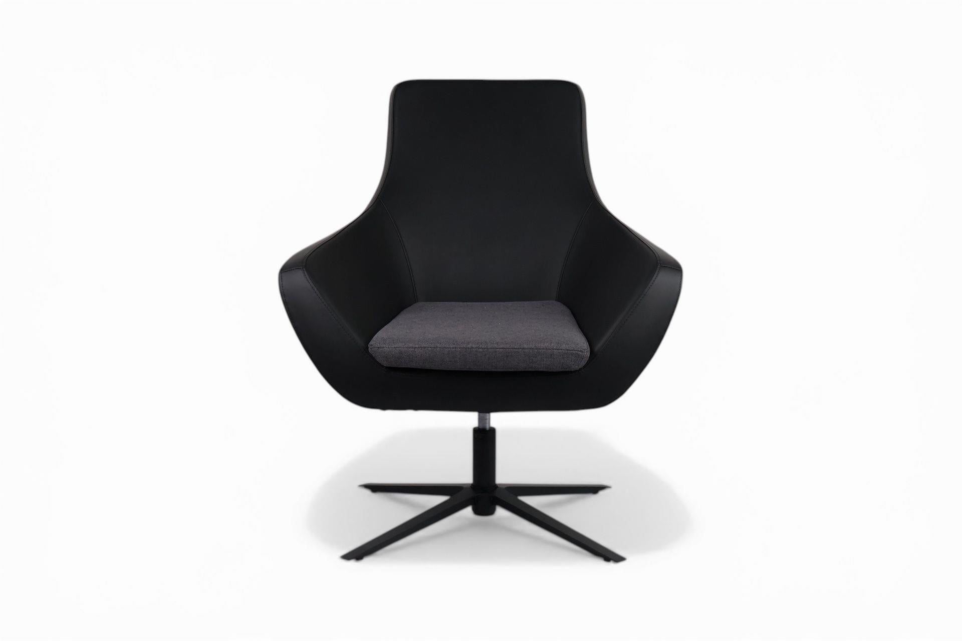 Van Berjer , Siyah Antrasit - Lazer Ayaklı