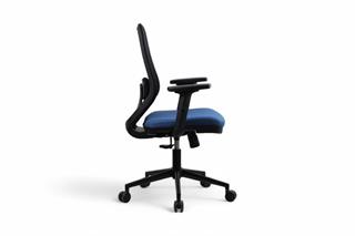 Sancak , Viola Çalışma Koltuğu , File