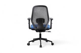 Sancak , Viola Çalışma Koltuğu , File