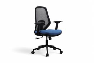 Sancak , Viola Çalışma Koltuğu , File