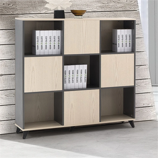 Sancak, Dexora A120 Ofis Dosya Dolabı