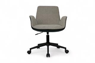 Sancak Dora Çalışma Koltuğu , Yeşil Krem | Ofis Sandalyesi