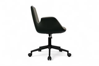 Sancak Dora Çalışma Koltuğu , Yeşil Krem | Ofis Sandalyesi