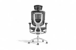 Sancak , Fox Fileli Yönetici Koltuğu