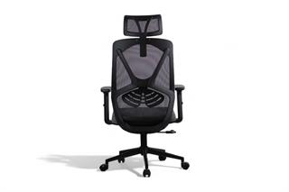 Sancak , Pera Yönetici Koltuğu , Fileli Ofis Koltuğu