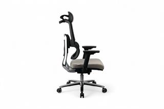 Sancak, Silver Yönetici Koltuğu