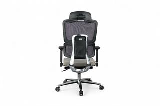 Sancak, Silver Yönetici Koltuğu