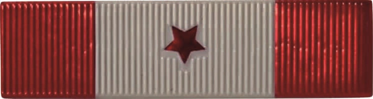 Terörle Mücadele Hizmet Şerit Rozeti 1 Yıldız