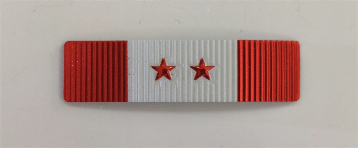 Terörle Mücadele Hizmet Şerit Rozeti