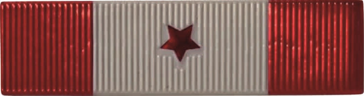 Terörle Mücadele Hizmet Şerit Rozeti 1 Yıldız