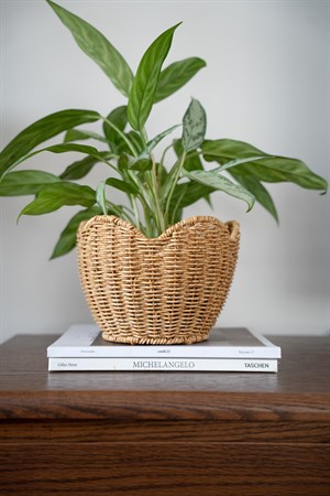 Rattan Çiçeklik & Meyvelik Sepet