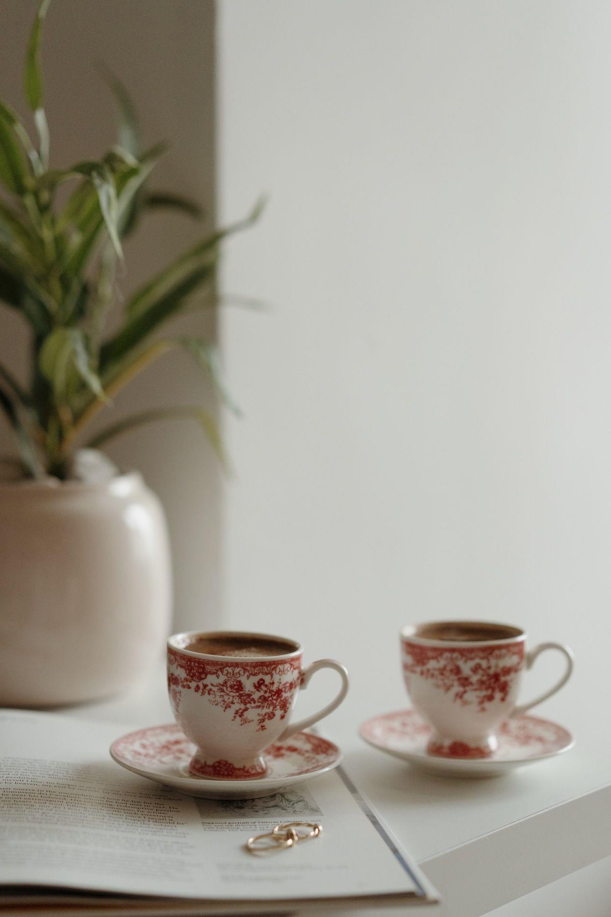 İkili Vintage Desenli Porselen Kahve Fincan Seti (Kırmızı)