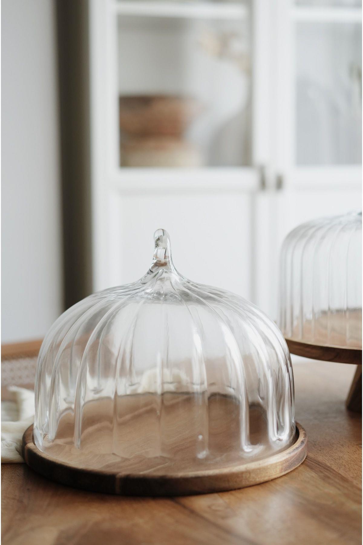 Terry Akasya Standlı Cam Kek Fanusu