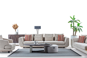 Dante Koltuk Takımı