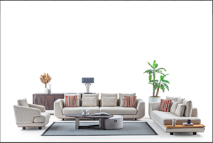 Dante Koltuk Takımı