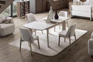 Japandi Yemek Odası Takımı