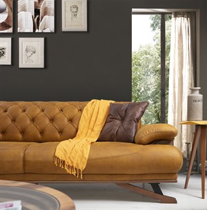 Tesla Koltuk Takımı