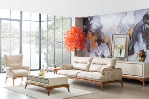 Tetra Koltuk Takımı