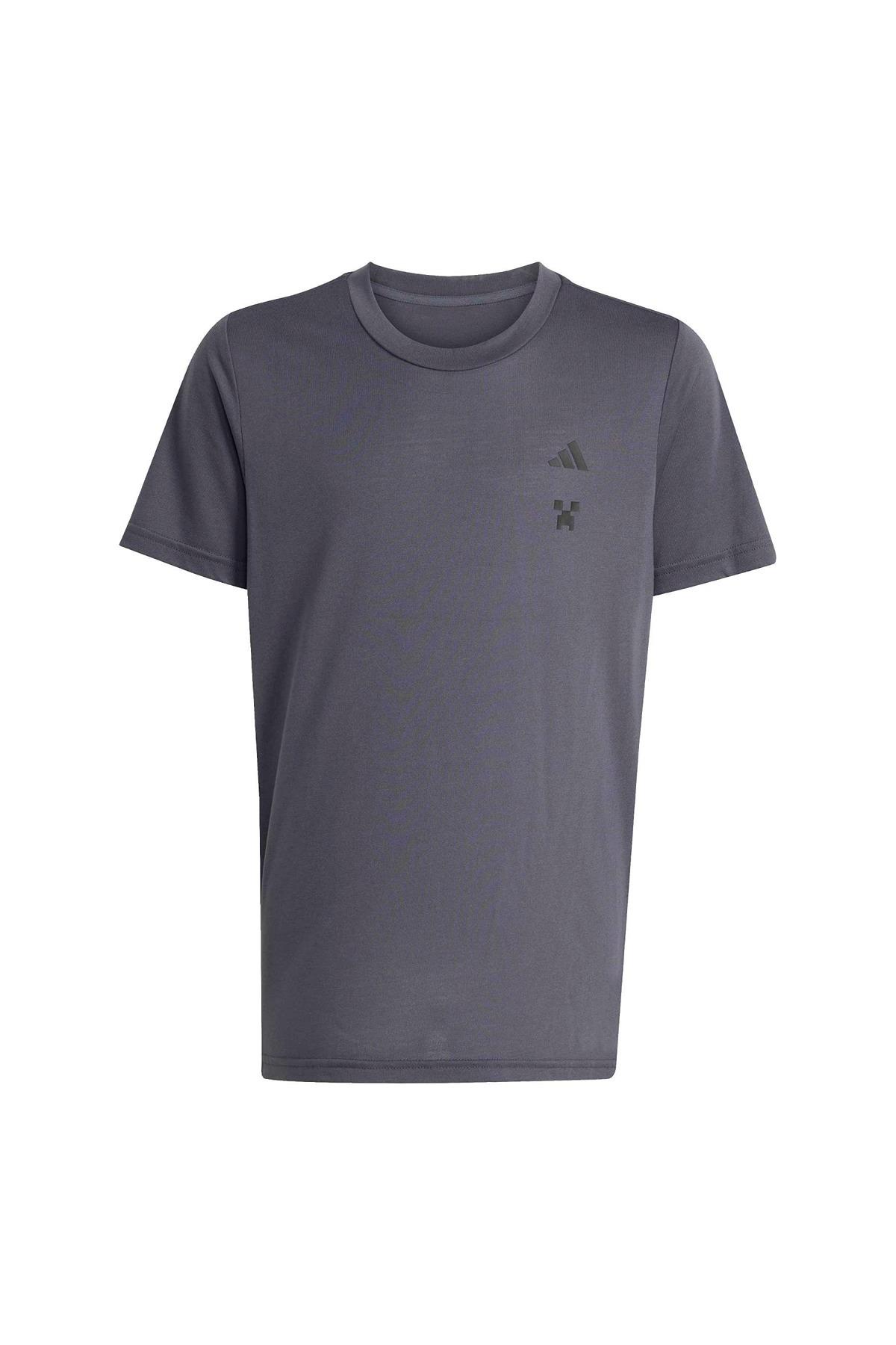 adidas  Çocuk Gri  T-shirt J MC TR TEE KD0979