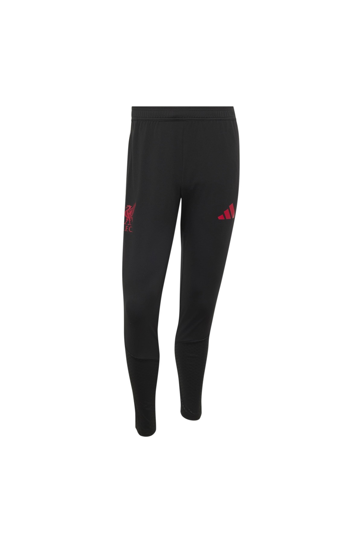 adidas Erkek Eşofman Altı LFC TR PNT KB5741