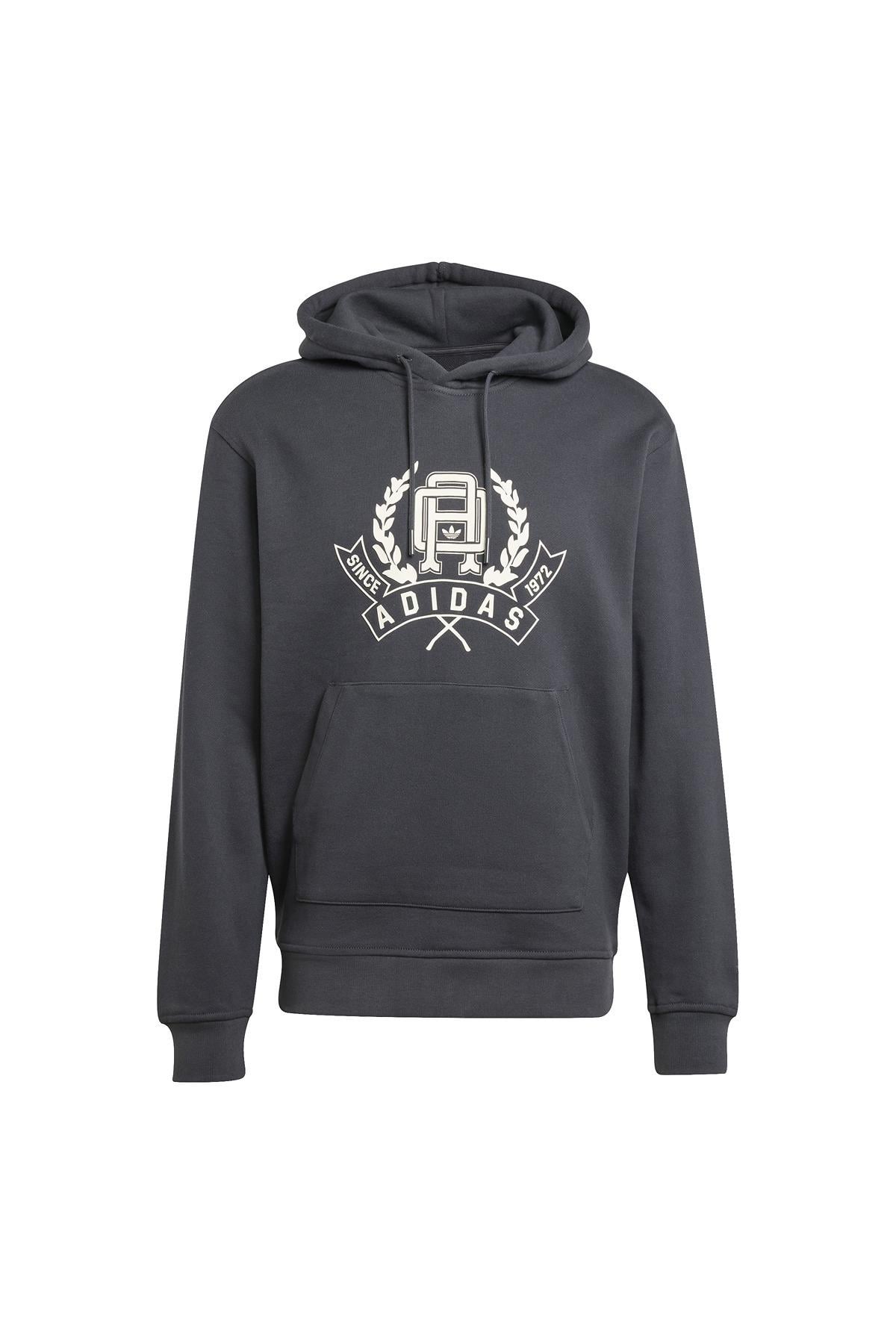 adidas  Erkek  Gri  Sweatshirt GRAPHIC LO HD JX8186