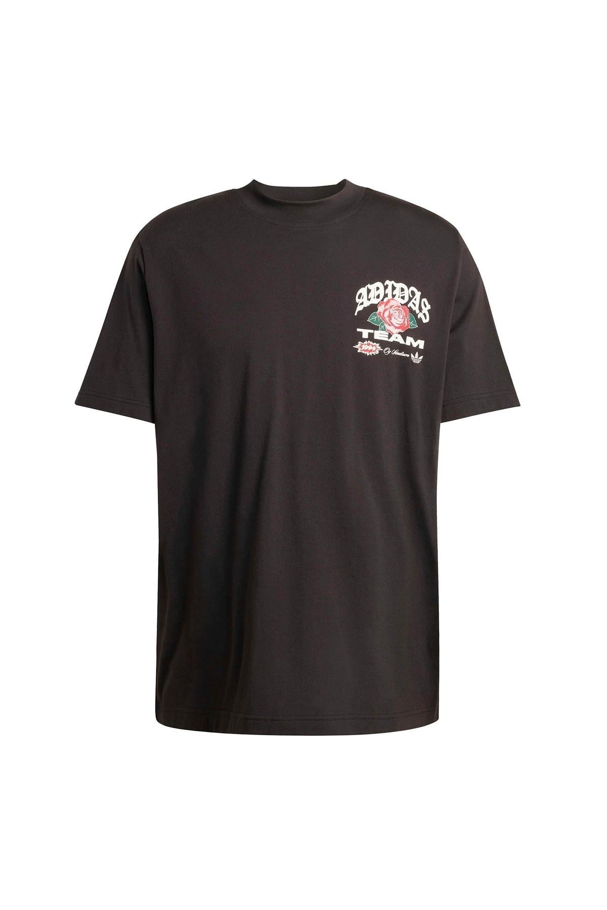 adidas Erkek  Siyah  T-shirt GFX T KD0482