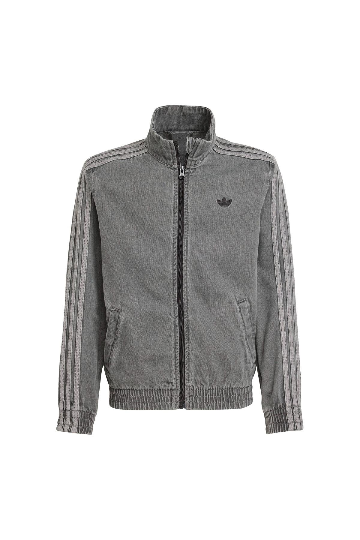 adidas  Çocuk  Çok renkli  Ceket FIREBIRD TT D JV7801
