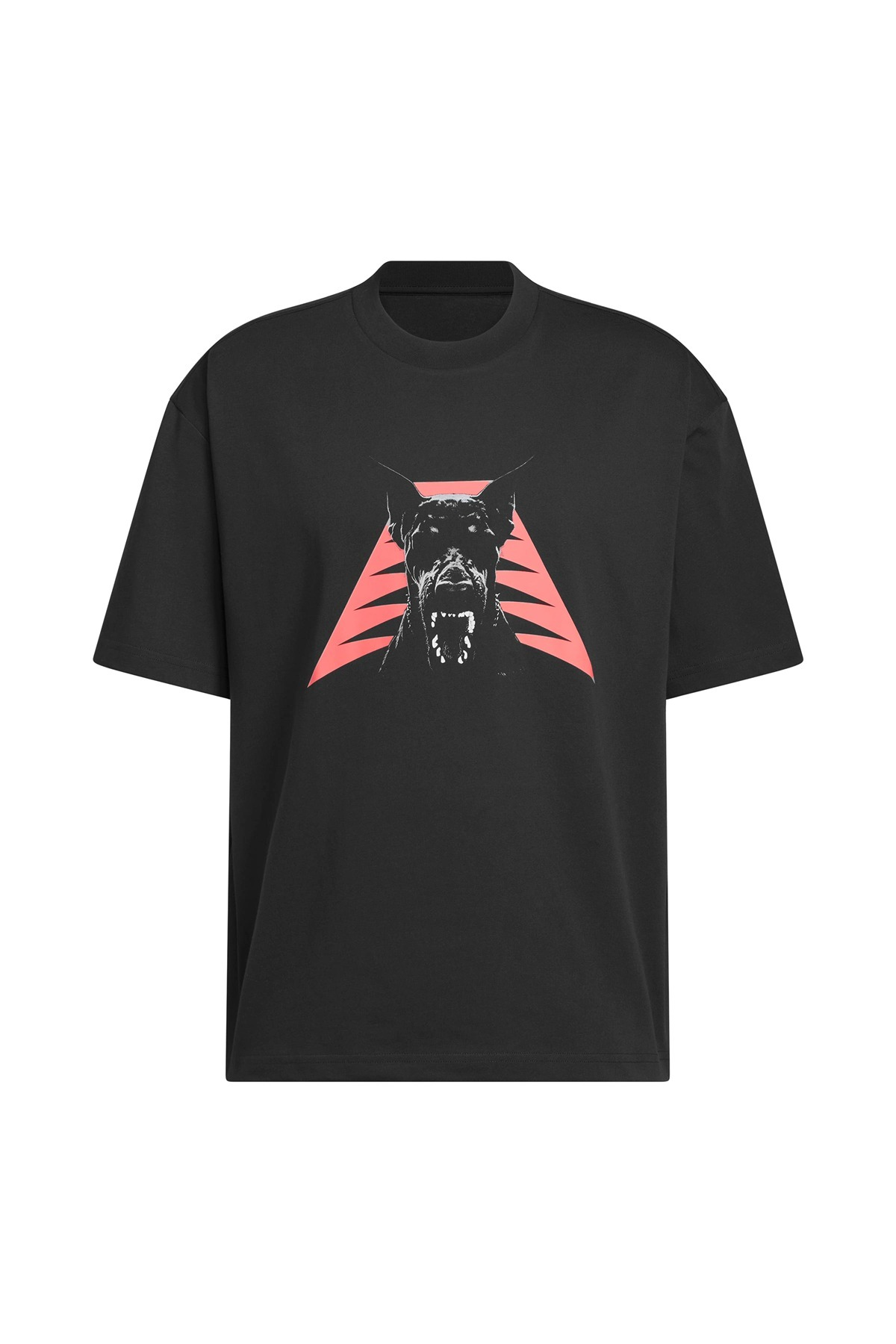adidas  Erkek T-shirt ANTED DAWG TEE JZ9447