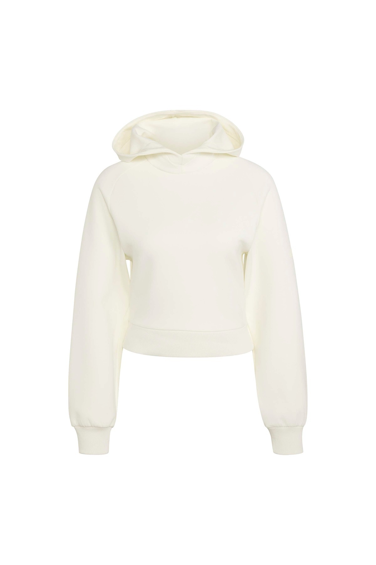 adidas Kadın Sweatshirt W SL HD KF4715