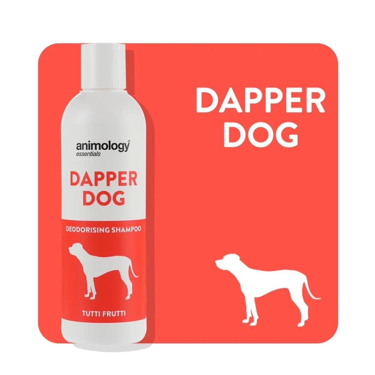 AnimologyAnimology Essentials Dapper Dog Shampoo Köpek Şampuanı 250 ML